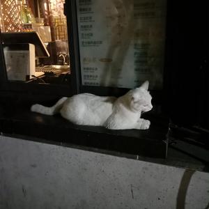 性奴调教视频外网网站
